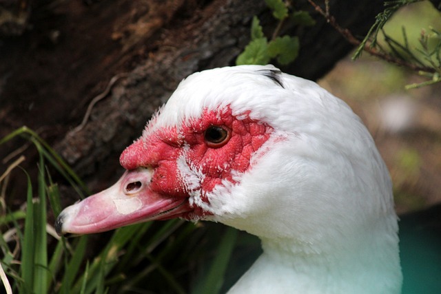 这座小城每 这座小城每