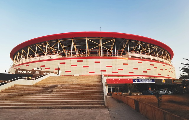 戏剧性和悬 戏剧性和悬