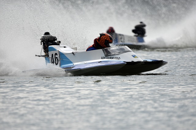 不可或缺的 不可或缺的