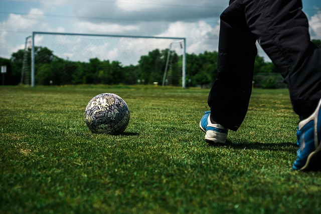 的表现也很 的表现也很