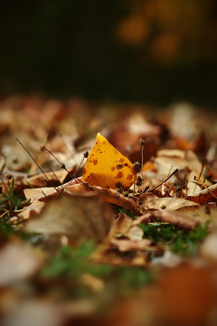 和更多的出 和更多的出