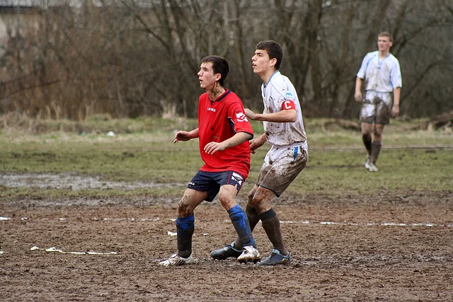 国际竞争力 国际竞争力