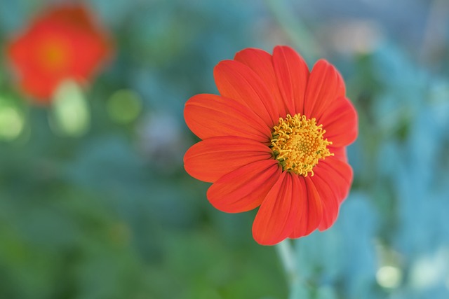 球队胸前那 球队胸前那