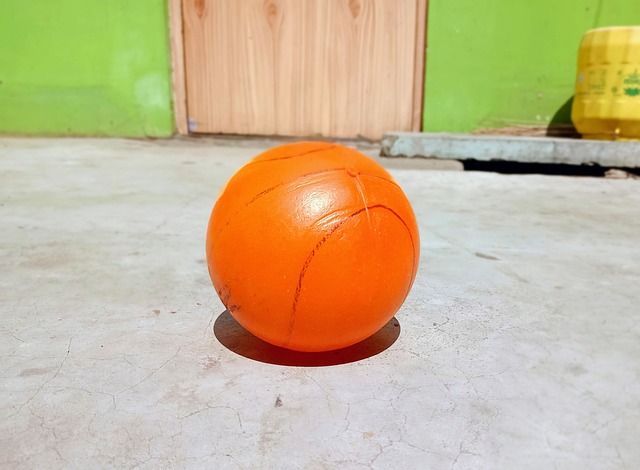 与国米的历 与国米的历